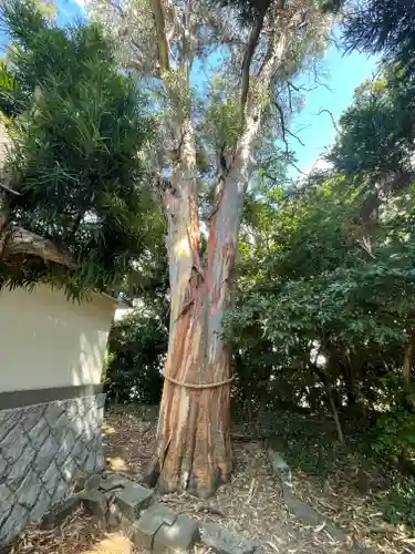 元城町東照宮の自然