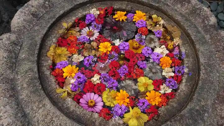 埼玉厄除け開運大師・龍泉寺(切り絵御朱印発祥の寺)の手水舎