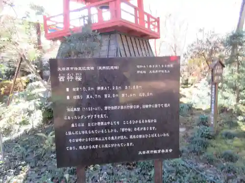 光丸山 法輪寺のその他建物