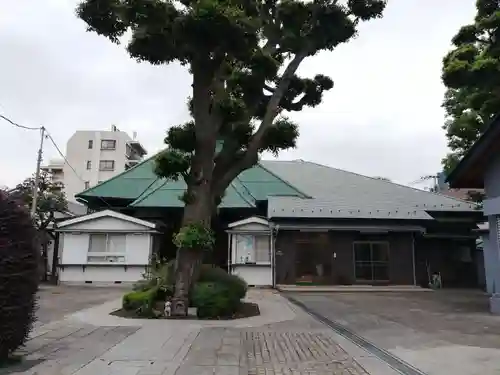 東光寺の自然