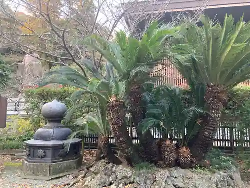 妙本寺(神奈川県)