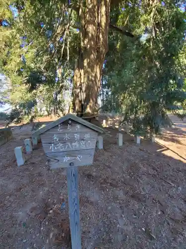小宅八幡神社の自然