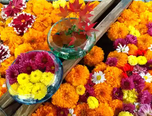 網走神社の手水舎