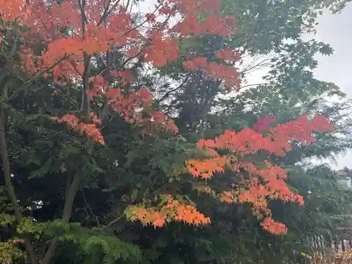 淺間神社（忍野八海）(山梨県)