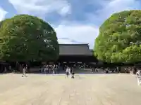 明治神宮(東京都)