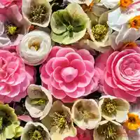 立志神社(滋賀県)