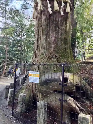 高尾山薬王院(東京都)