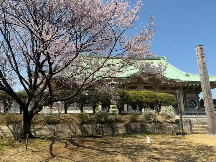 総持寺の{uncategorized: "未分類", other: "その他", undefined: "問題あり", building: "その他建物", grave: "お墓", sacred_gate: "鳥居", guardian: "狛犬", statue: "像", buddha: "仏像", history: "歴史", nature: "自然", garden: "庭園", animal: "動物", pagoda: "塔", temizu: "手水舎", mountain_gate: "山門・神門", sanctuary: "本殿・本堂", subordinate: "末社・摂社", art: "芸術", scenery: "景色", jizo: "地蔵", ema: "絵馬", goshuin: "御朱印", omikuji: "おみくじ", items: "授与品その他", amulet: "お守り", goshuincho: "御朱印帳", eats: "食事", festival: "お祭り", votive_dance: "神楽", shichigosan: "七五三参", wedding: "結婚式", experience: "体験その他", initially: "初詣", around: "周辺", anti_infection: "感染症対策"}