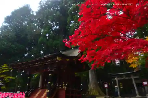 北口本宮冨士浅間神社(山梨県)