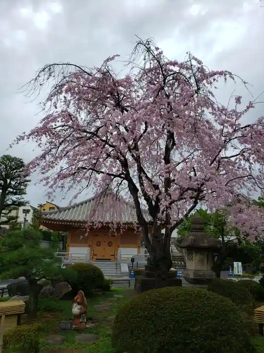 最勝寺(東京都)