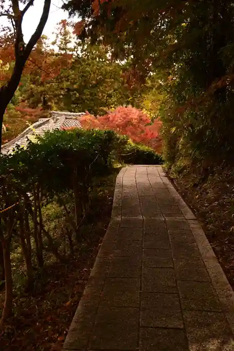 十輪寺(京都府)
