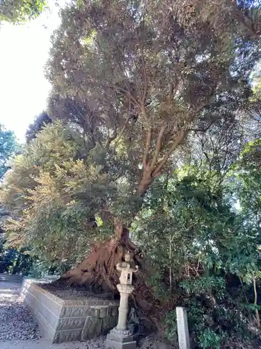 諏訪神社(千葉県)