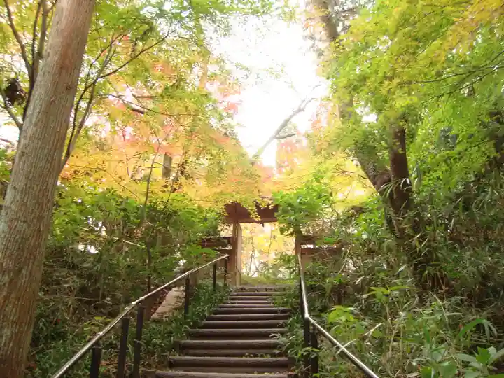常照寺(京都府)