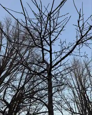 温泉神社〜いわき湯本温泉〜(福島県)