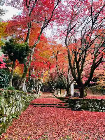 鶏足寺の{uncategorized: "未分類", other: "その他", undefined: "問題あり", building: "その他建物", grave: "お墓", sacred_gate: "鳥居", guardian: "狛犬", statue: "像", buddha: "仏像", history: "歴史", nature: "自然", garden: "庭園", animal: "動物", pagoda: "塔", temizu: "手水舎", mountain_gate: "山門・神門", sanctuary: "本殿・本堂", subordinate: "末社・摂社", art: "芸術", scenery: "景色", jizo: "地蔵", ema: "絵馬", goshuin: "御朱印", omikuji: "おみくじ", items: "授与品その他", amulet: "お守り", goshuincho: "御朱印帳", eats: "食事", festival: "お祭り", votive_dance: "神楽", shichigosan: "七五三参", wedding: "結婚式", experience: "体験その他", initially: "初詣", around: "周辺", anti_infection: "感染症対策"}