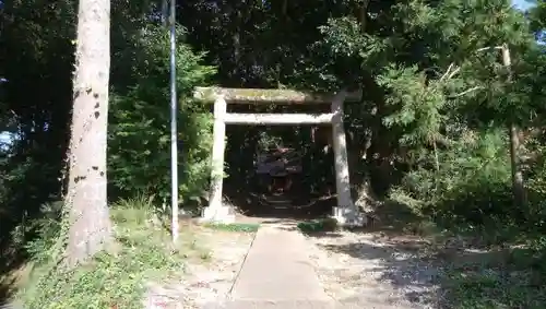 天満神社の鳥居