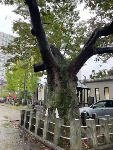 阿邪訶根神社(福島県)