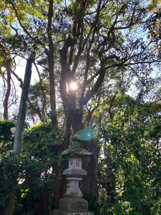 川口神社(千葉県)