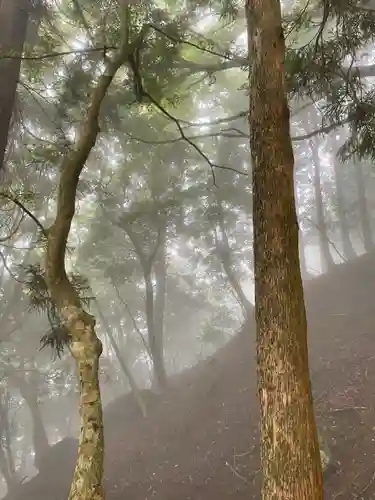 大山阿夫利神社本社の自然
