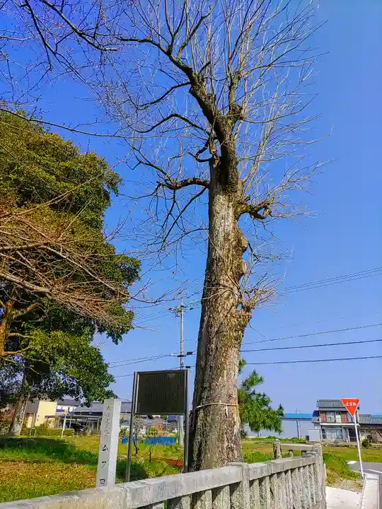日吉社(加納)の自然