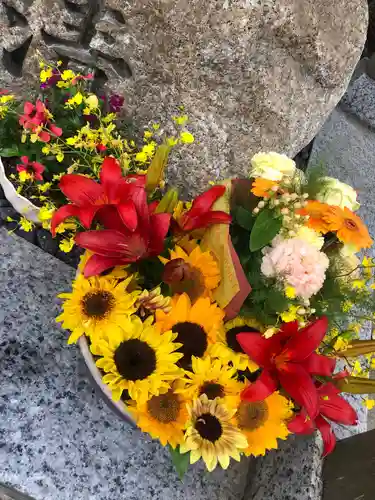 彌都加伎神社の手水舎