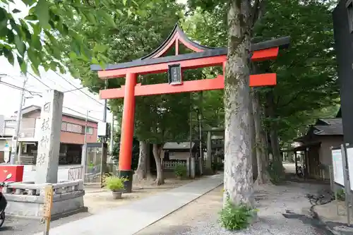 丸子山王日枝神社の鳥居