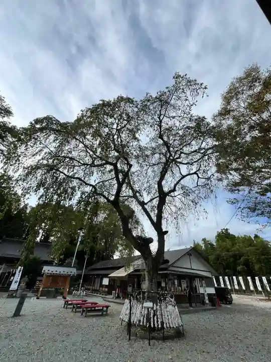 秋保神社(宮城県)