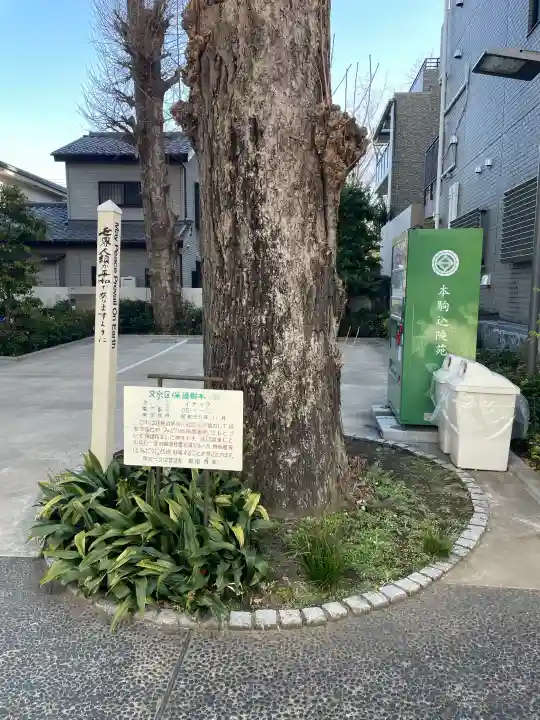 十方寺の{uncategorized: "未分類", other: "その他", undefined: "問題あり", building: "その他建物", grave: "お墓", sacred_gate: "鳥居", guardian: "狛犬", statue: "像", buddha: "仏像", history: "歴史", nature: "自然", garden: "庭園", animal: "動物", pagoda: "塔", temizu: "手水舎", mountain_gate: "山門・神門", sanctuary: "本殿・本堂", subordinate: "末社・摂社", art: "芸術", scenery: "景色", jizo: "地蔵", ema: "絵馬", goshuin: "御朱印", omikuji: "おみくじ", items: "授与品その他", amulet: "お守り", goshuincho: "御朱印帳", eats: "食事", festival: "お祭り", votive_dance: "神楽", shichigosan: "七五三参", wedding: "結婚式", experience: "体験その他", initially: "初詣", around: "周辺", anti_infection: "感染症対策"}