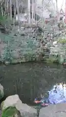 大矢田神社の庭園