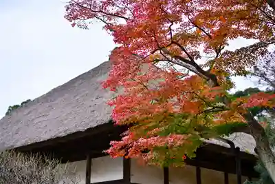 円覚寺(神奈川県)