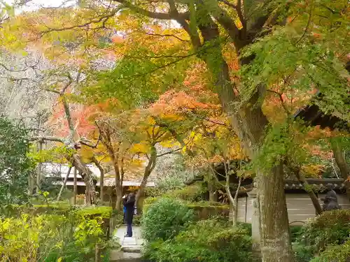 瑞泉寺の庭園