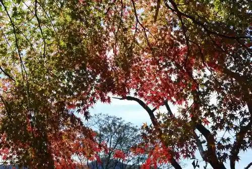 太皷谷稲成神社(島根県)