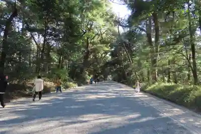 明治神宮(東京都)