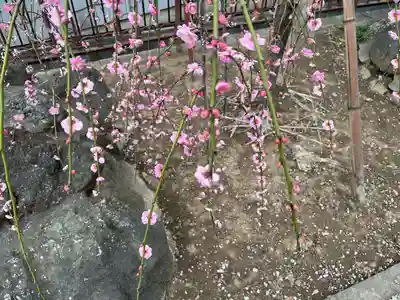 武蔵第六天神社(埼玉県)