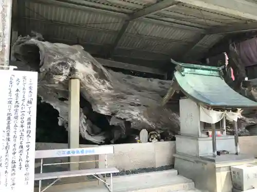 正善寺（生木地蔵）(愛媛県)