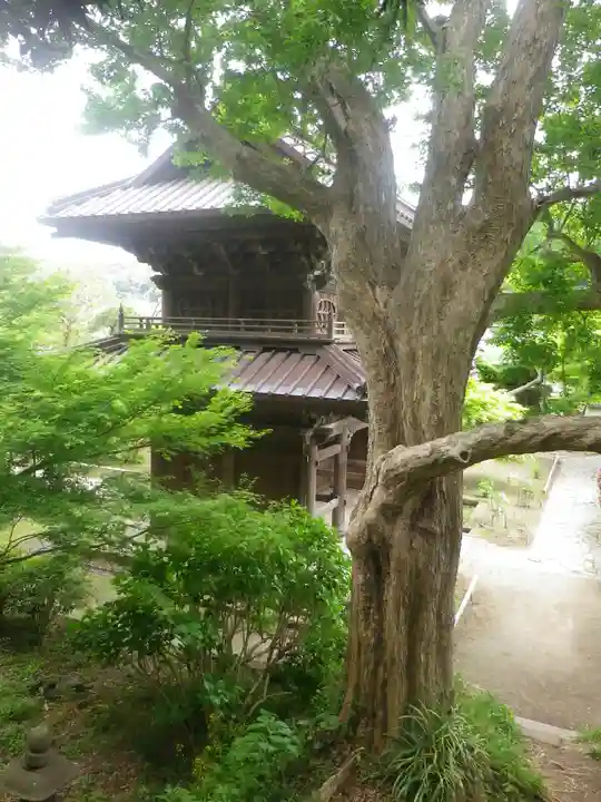 英勝寺のその他建物