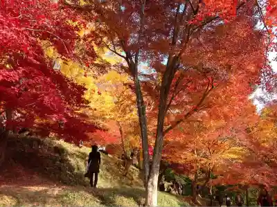 八幡神社(兵庫県)