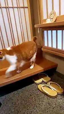 五十稲荷神社(栄寿稲荷神社)(東京都)