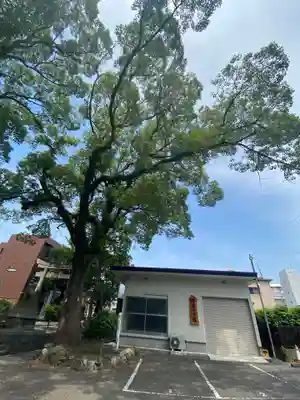 春日神社のその他建物