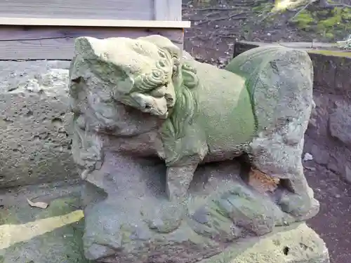 渋谷氷川神社の狛犬