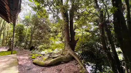 岩神神社(京都府)