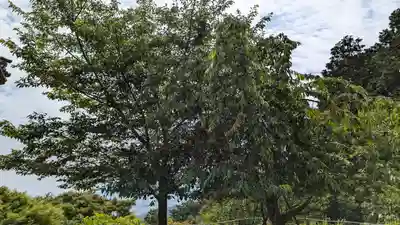 三鈷寺(京都府)