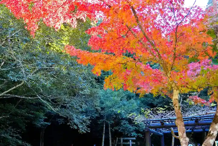 鹿島神宮(茨城県)