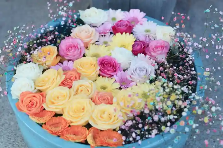 草加神社の{uncategorized: "未分類", other: "その他", undefined: "問題あり", building: "その他建物", grave: "お墓", sacred_gate: "鳥居", guardian: "狛犬", statue: "像", buddha: "仏像", history: "歴史", nature: "自然", garden: "庭園", animal: "動物", pagoda: "塔", temizu: "手水舎", mountain_gate: "山門・神門", sanctuary: "本殿・本堂", subordinate: "末社・摂社", art: "芸術", scenery: "景色", jizo: "地蔵", ema: "絵馬", goshuin: "御朱印", omikuji: "おみくじ", items: "授与品その他", amulet: "お守り", goshuincho: "御朱印帳", eats: "食事", festival: "お祭り", votive_dance: "神楽", shichigosan: "七五三参", wedding: "結婚式", experience: "体験その他", initially: "初詣", around: "周辺", anti_infection: "感染症対策"}