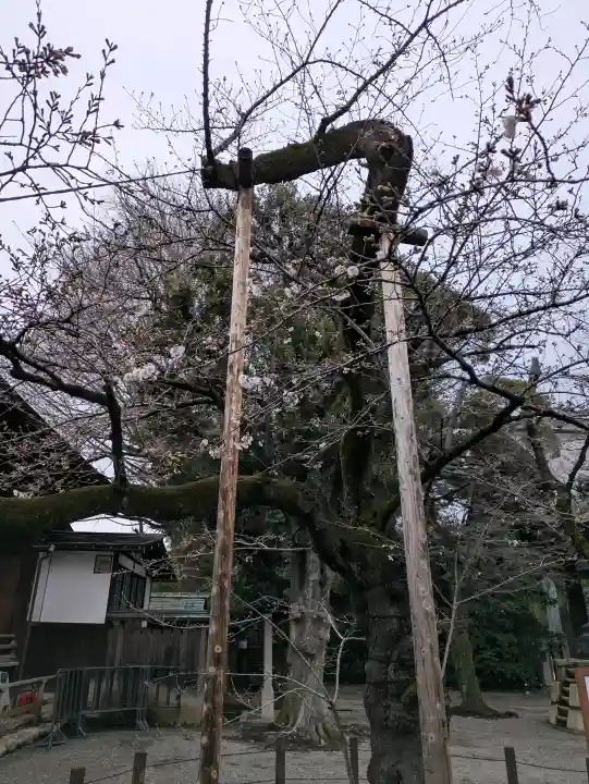 靖國神社の{uncategorized: "未分類", other: "その他", undefined: "問題あり", building: "その他建物", grave: "お墓", sacred_gate: "鳥居", guardian: "狛犬", statue: "像", buddha: "仏像", history: "歴史", nature: "自然", garden: "庭園", animal: "動物", pagoda: "塔", temizu: "手水舎", mountain_gate: "山門・神門", sanctuary: "本殿・本堂", subordinate: "末社・摂社", art: "芸術", scenery: "景色", jizo: "地蔵", ema: "絵馬", goshuin: "御朱印", omikuji: "おみくじ", items: "授与品その他", amulet: "お守り", goshuincho: "御朱印帳", eats: "食事", festival: "お祭り", votive_dance: "神楽", shichigosan: "七五三参", wedding: "結婚式", experience: "体験その他", initially: "初詣", around: "周辺", anti_infection: "感染症対策"}