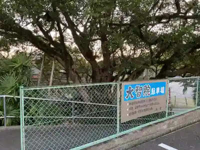 大智院（清水寺大智院）(愛知県)