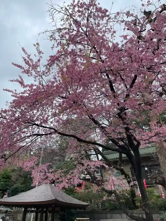 五條天神社(東京都)