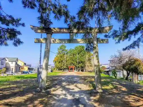 八幡神社（柴ケ森八幡社）の鳥居