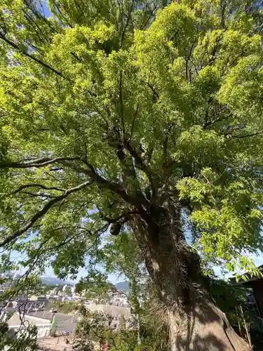正覚院(広島県)