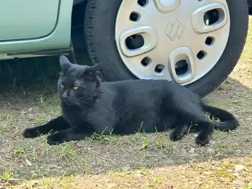 高司神社〜むすびの神の鎮まる社〜(福島県)